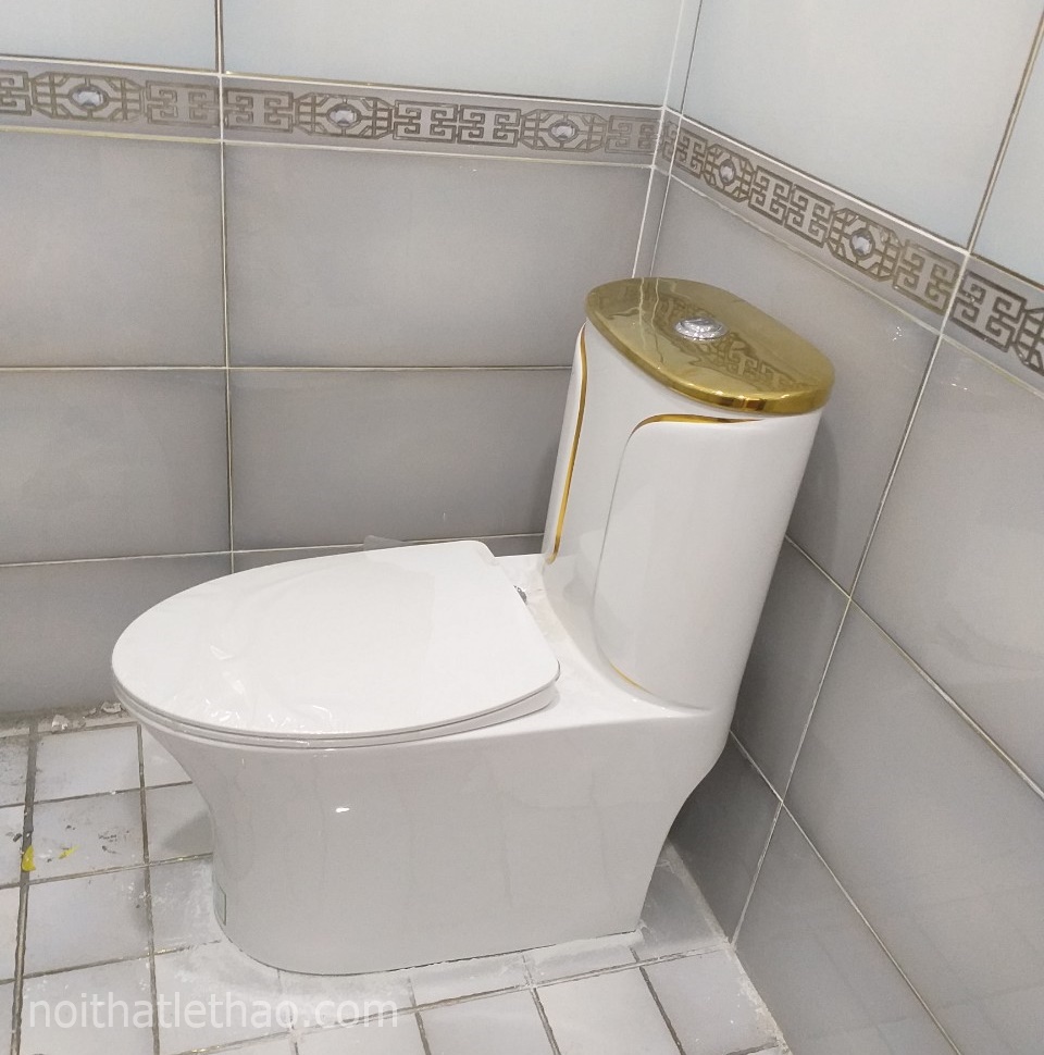 Bồn Cầu Liền Khối Arigato AG 011 Trắng Vàng Chính Hãng