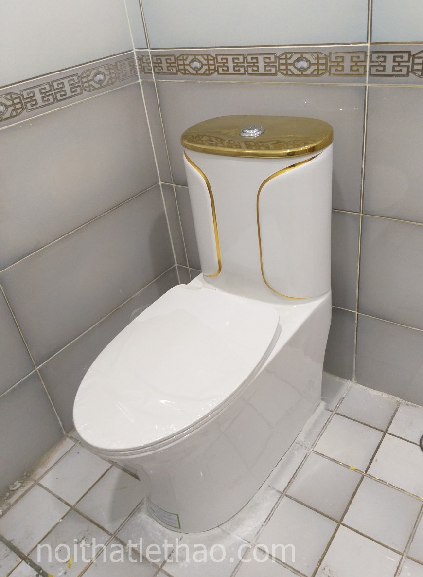 Bồn Cầu Liền Khối Arigato AG 011 Trắng Vàng Chính Hãng